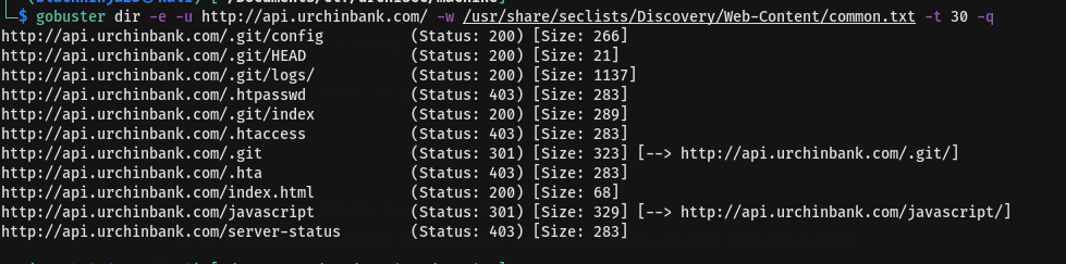 api gobuster bruteforce