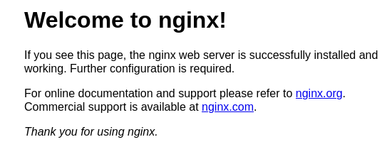nginx default page