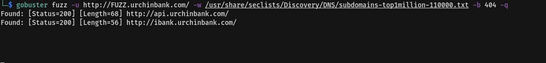 gobuster vhost discovering